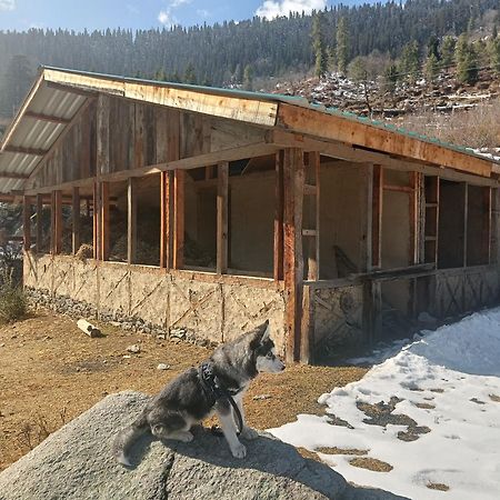 Trimounts-A Boutique Hotel & Wellnes Center In Tirthan Valley Banjār Exterior foto