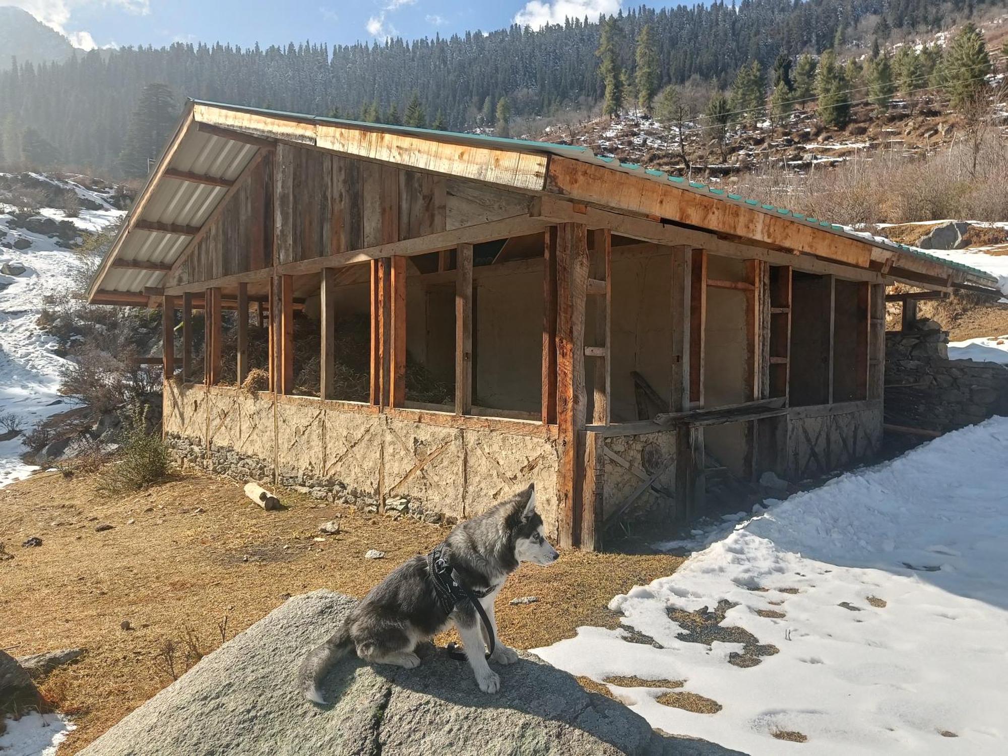 Trimounts-A Boutique Hotel & Wellnes Center In Tirthan Valley Banjār Exterior foto